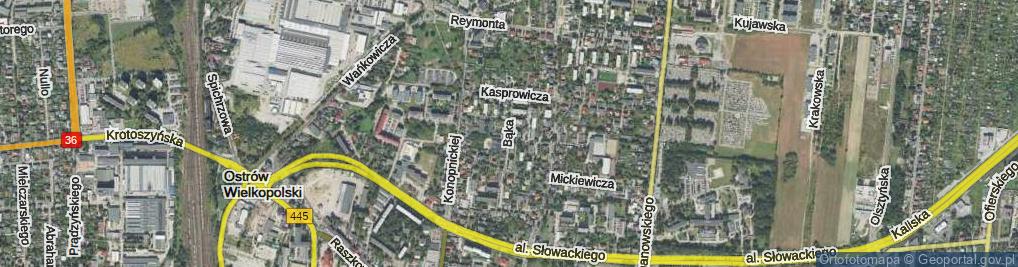 Zdjęcie satelitarne Bąka Wojciecha ul.